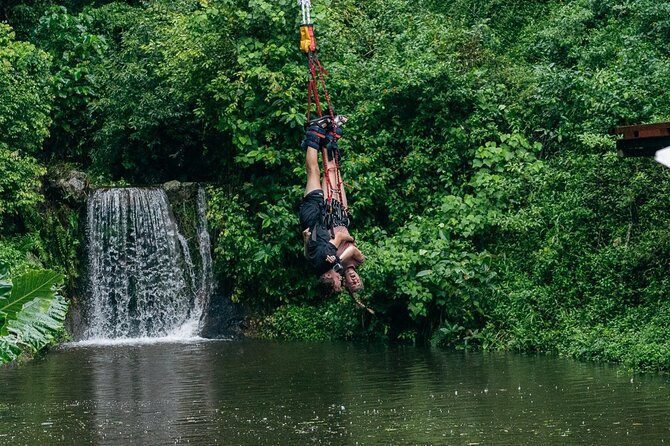 Bungy Jump Experience at Skypark Cairns by AJ Hackett - Skypark Cairns: the big adrenaline hit with serious views