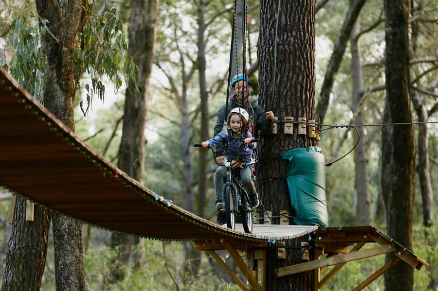 Busselton: Forest Adventure with Zip Lining and Rope Course - What Your 2-Hour Session Really Feels Like