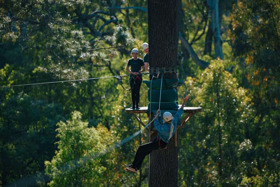 Busselton: Forest Adventure with Zip Lining and Rope Course - The Staff, Safety System, and What to Bring