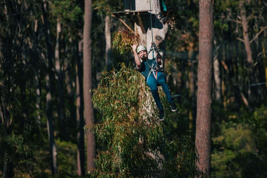 Busselton: Forest Adventure with Zip Lining and Rope Course - Price and Value: Is $41 Good for a 2-Hour Forest Adventure?