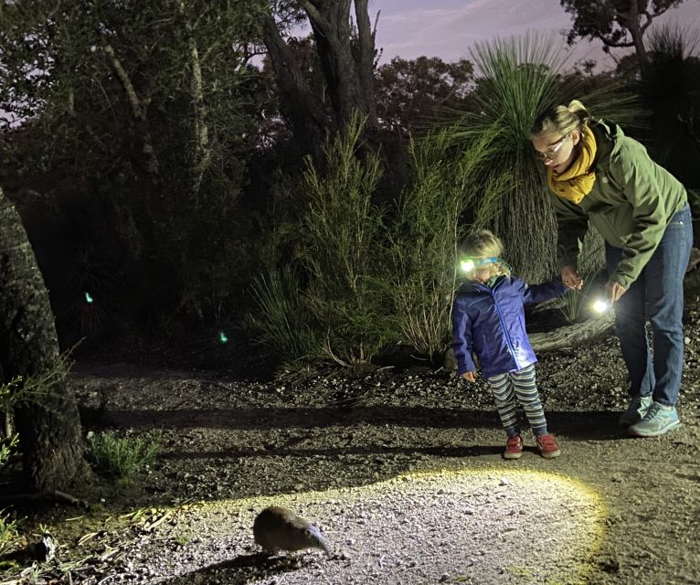 Busselton: Nocturnal Animal Tour - Yelverton Brook Conservation Sanctuary: The Short Walk That Sets the Stage