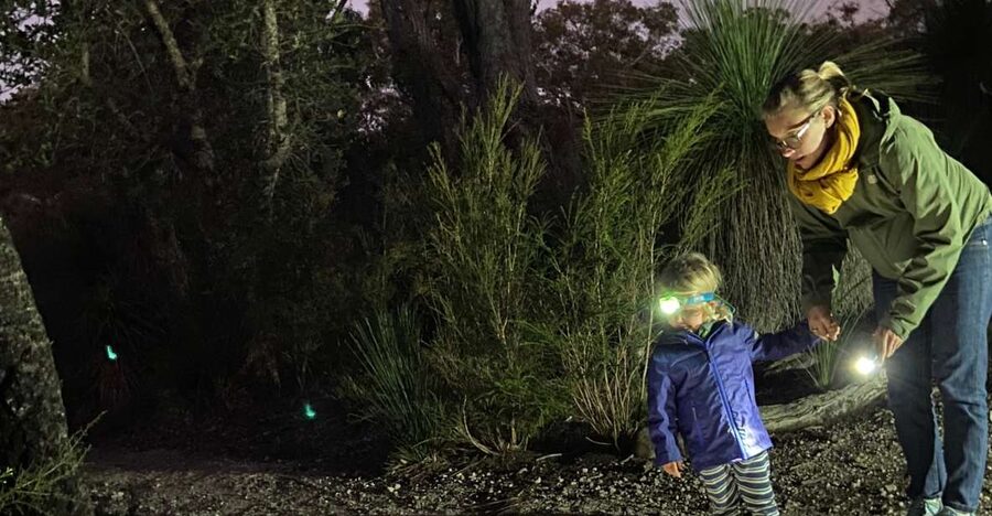 Busselton: Nocturnal Animal Tour - Nocturnal Wildlife Viewing: What You’re Likely to See