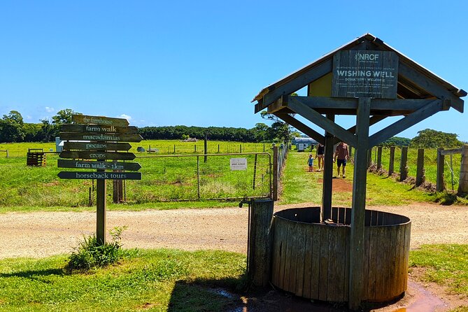 Byron Bay, Bangalow & Gold Coast Day Trip from Brisbane - Stop 2: The Farm coffee break, animals, and bakery stops