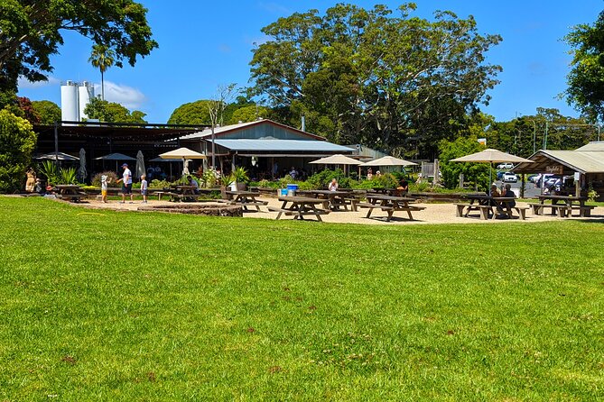 Byron Bay, Bangalow & Gold Coast Day Trip from Brisbane - Stop 3: Cape Byron Lighthouse, photos, and where the time goes