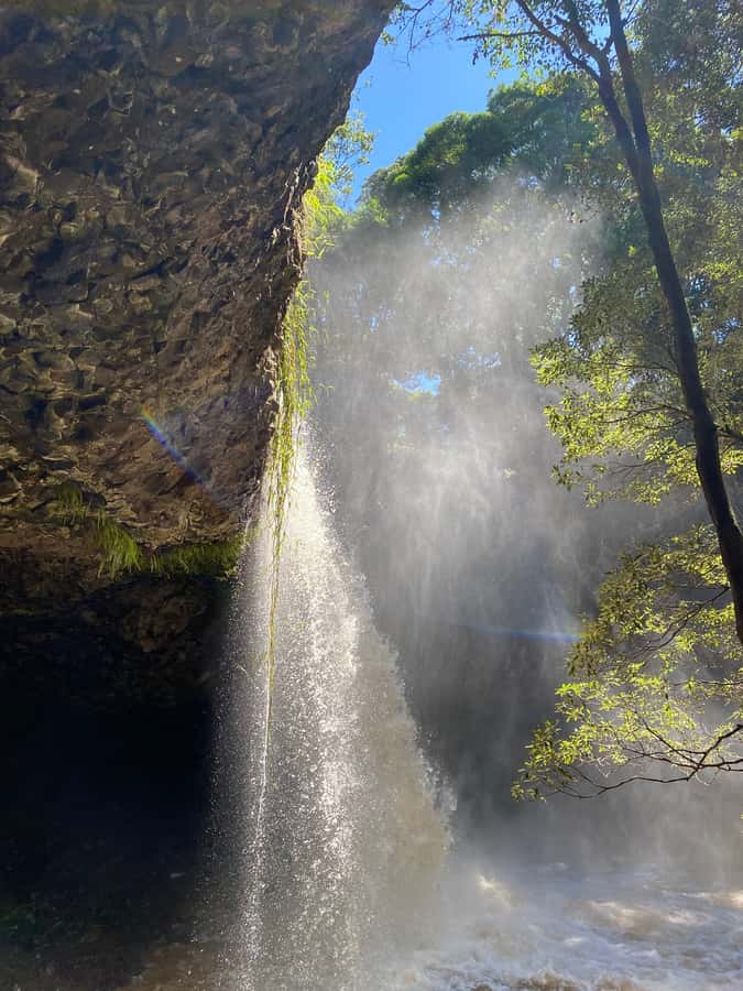 Byron Bay: Behind The Bay Waterfalls & Hidden Gems Day Tour - Getting picked up and heading into Byron Bay’s hinterland