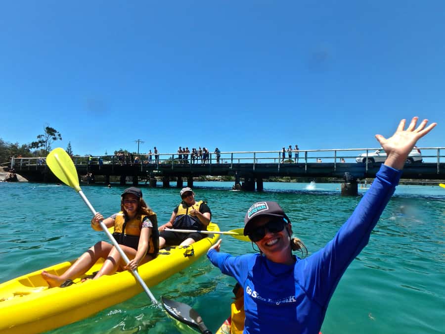 Byron Bay: Brunswick River Scenic Kayak Tour - Key things you will notice on this kayak tour