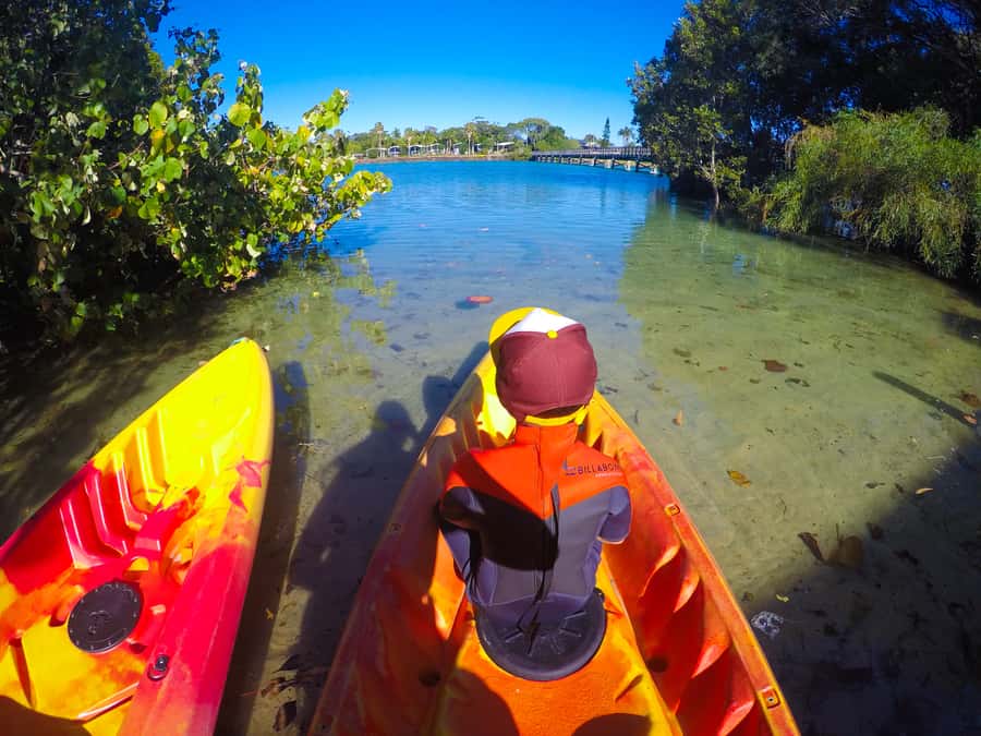 Byron Bay: Brunswick River Scenic Kayak Tour - Should you book the Byron Bay Brunswick River Scenic Kayak Tour?