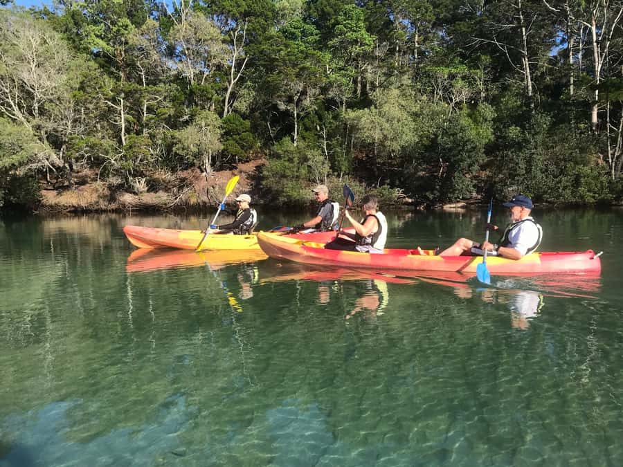 Byron Bay: Brunswick River Scenic Kayak Tour - The swim, snacks, and the secluded beach picnic break