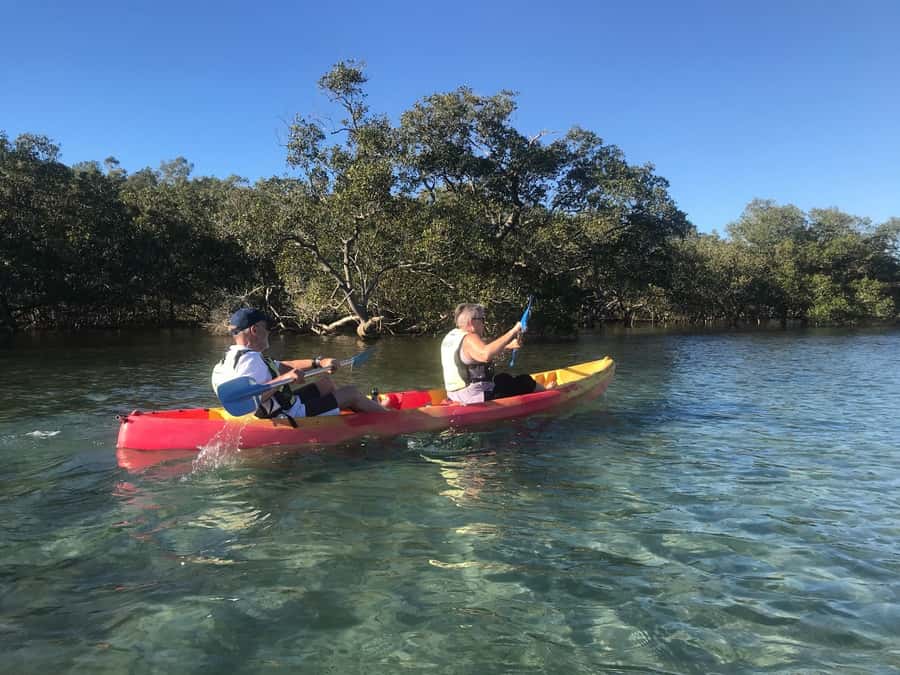 Byron Bay: Brunswick River Scenic Kayak Tour - Paddling effort, what safety feels like, and what to bring