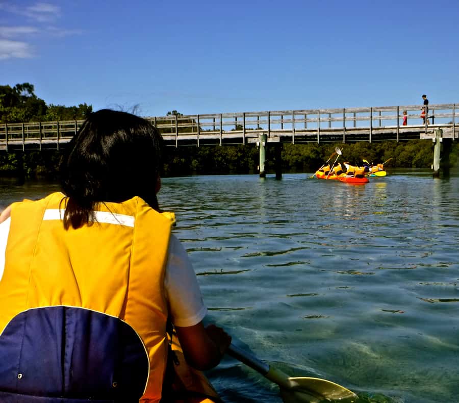 Byron Bay: Brunswick River Scenic Kayak Tour - Who this kayak tour is best for, and who may want to skip it