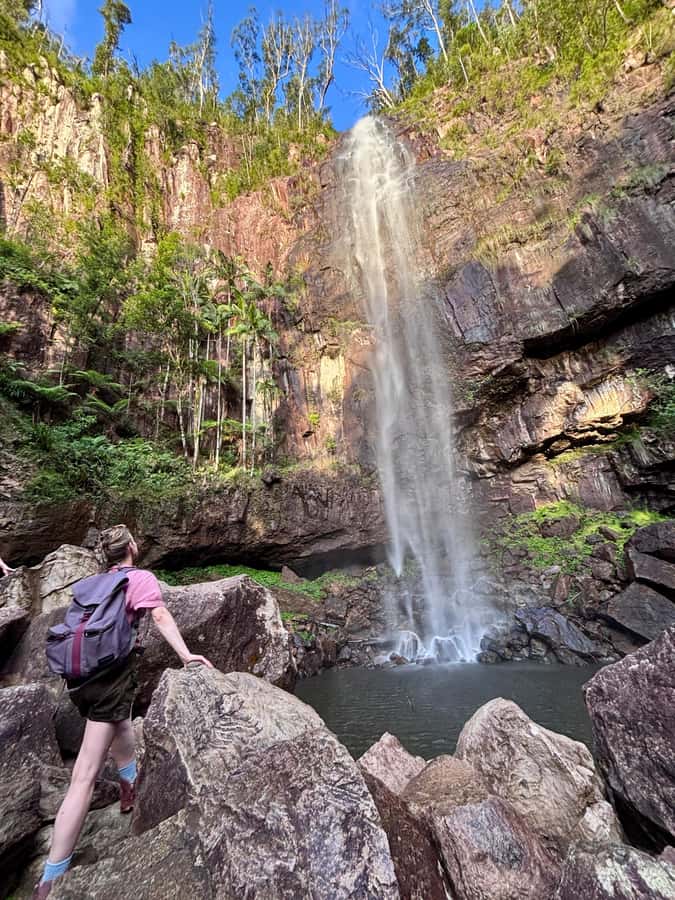 Byron Bay: Glowworms, Waterfalls & Rainforest Experience - How Nightcap Glowworms turn a regular walk into a wow moment