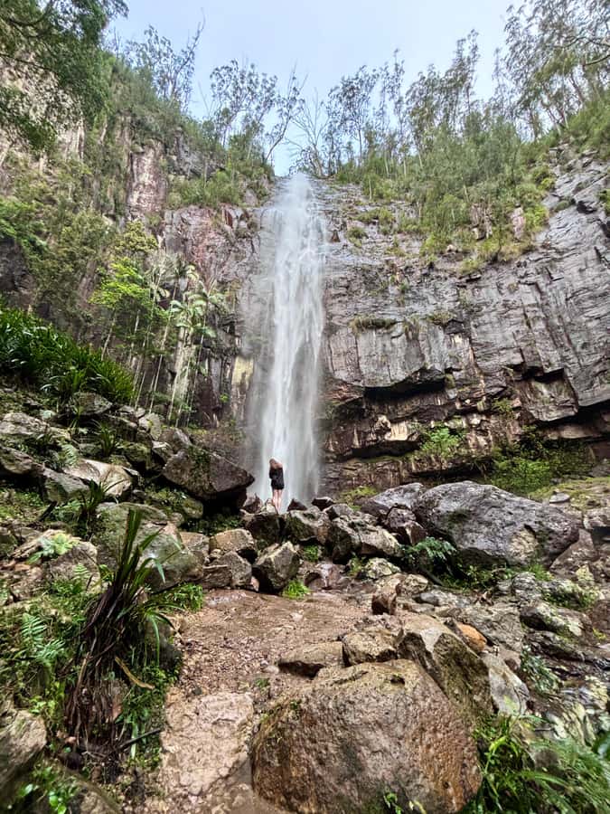 Byron Bay: Glowworms, Waterfalls & Rainforest Experience - The drive into the Byron Hinterland: viewpoints that set the mood