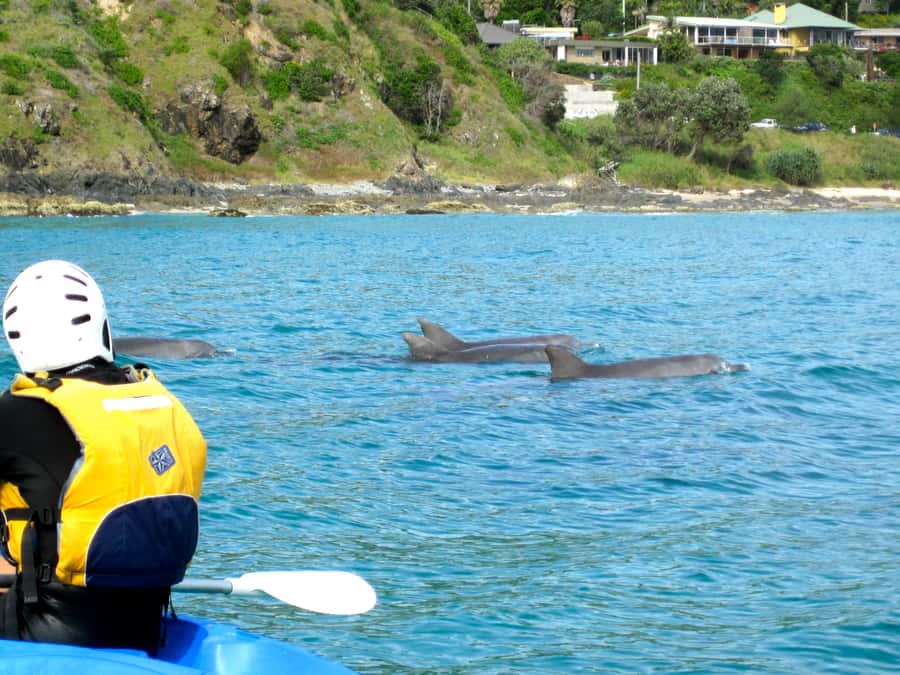 Byron Bay: The Byron Bay Sea Kayak Tour - Paddling out from Main Beach to the Byron Bay marine reserve