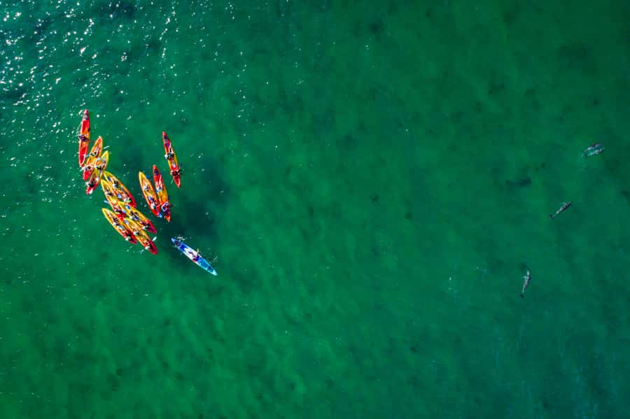 Byron Bay: The Byron Bay Sea Kayak Tour - Volcanic reefs, iconic beaches, and seeing the lighthouse from the sea