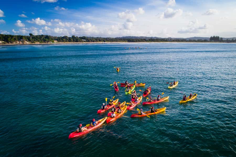 Byron Bay: The Byron Bay Sea Kayak Tour - Wildlife spotting: dolphins, turtles, leopard sharks, and whale season notes