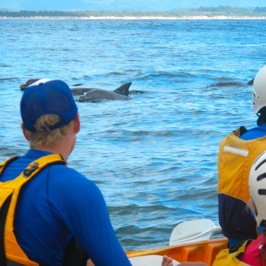 Byron Bay: The Byron Bay Sea Kayak Tour - The safety briefing and the beach lesson that set the tone