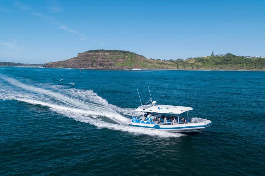 Byron Bay: Whale Watching Cruise with a Marine Biologist - The eco vessel details that affect your comfort and photos