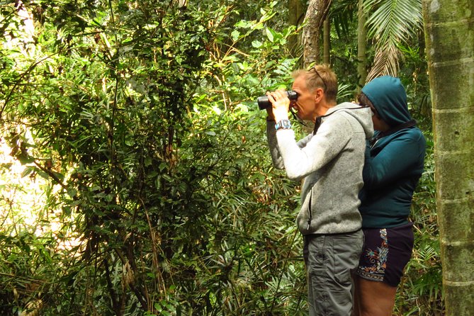 Byron Bay Wildlife Safari - Key highlights at a glance