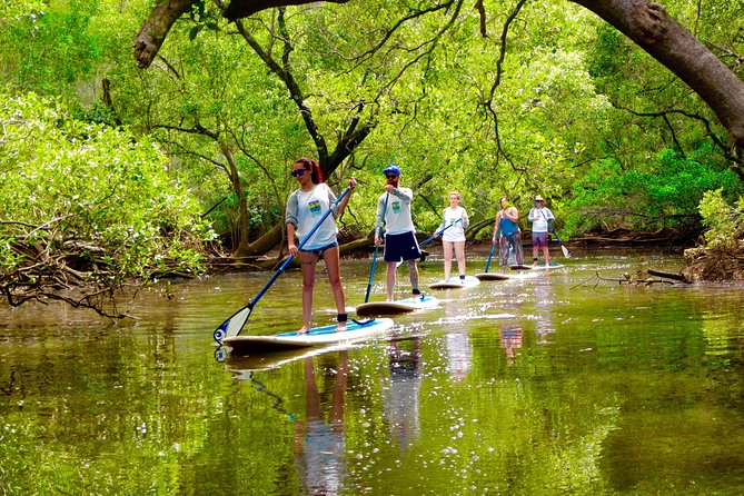 Byron Bay Wildlife Safari - Getting the most out of each stop