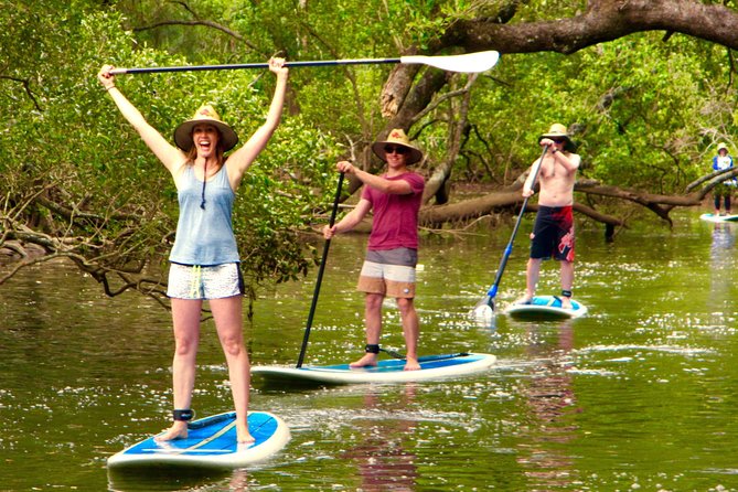 Byron Stand Up Paddle Nature Tour - Why SUP on the Brunswick River Feels Peaceful Fast