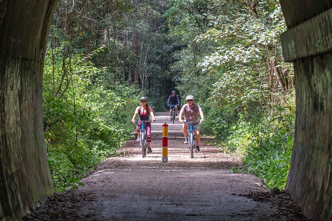 Byron Stand Up Paddle Nature Tour - Wildlife Spotting and Digital Photos That Don’t Feel Forced