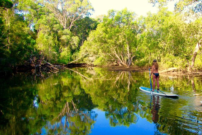 Byron Stand Up Paddle Nature Tour - Who This Byron SUP Nature Tour Is Best For