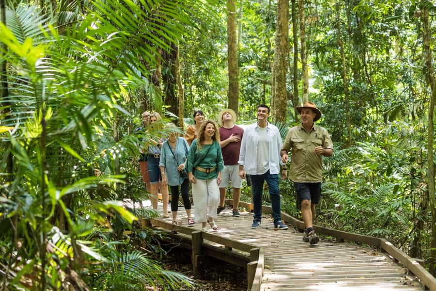 Cairns: 2-Day Great Barrier Reef & Daintree Rainforest Tour - Your 2-day flow in Cairns: reef first, then rainforest, or vice versa
