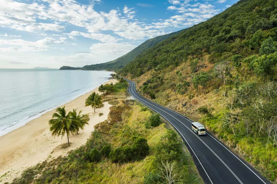 Cairns: 2-Day Great Barrier Reef & Daintree Rainforest Tour - Daintree River cruise and crocodile spotting: how to make the most of the hour