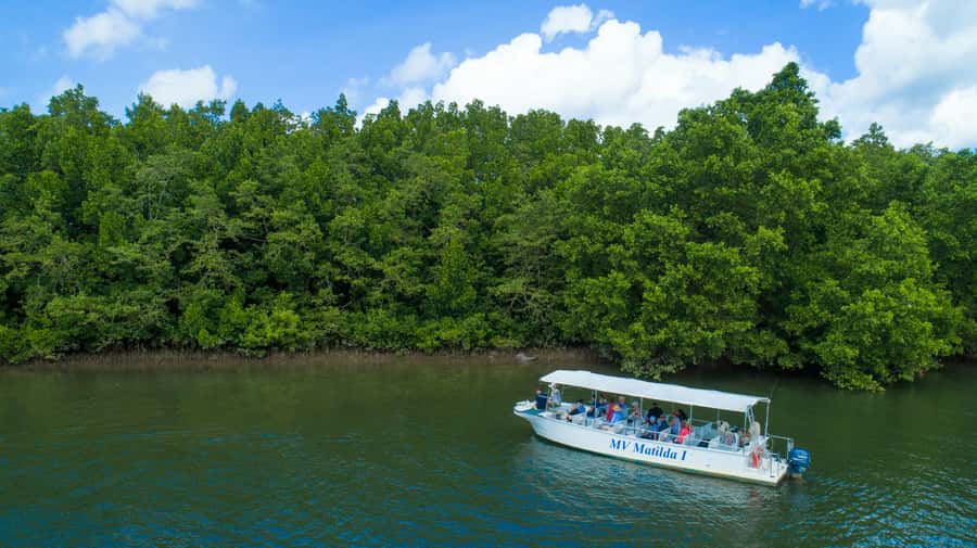 Cairns: 2-Day Great Barrier Reef & Daintree Rainforest Tour - Cape Tribulation Beach time and the ferry crossing you’ll remember