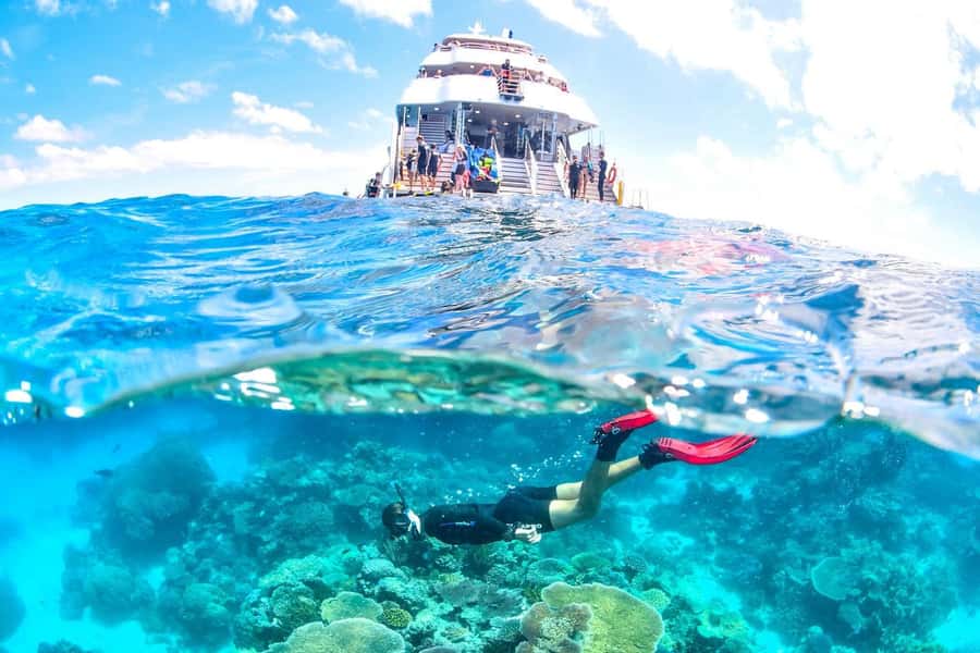 Cairns: 2-Day Great Barrier Reef & Daintree Rainforest Tour - Snorkeling reality check: choppy water, crowds, and seeing more fish