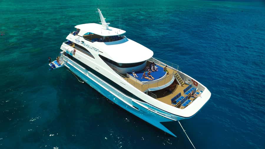 Cairns: 2-Day Great Barrier Reef & Daintree Rainforest Tour - Rainforest Day through the Daintree: 4WD road, river cruise, and a guided walk