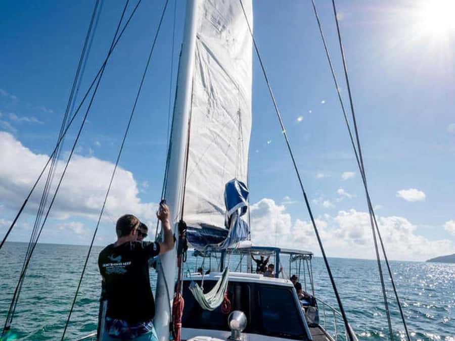 Cairns: 2-Day Great Barrier Reef Dive and Snorkel Boat Trip - Coral Sea Dreaming on a 16m yacht: why the setup matters