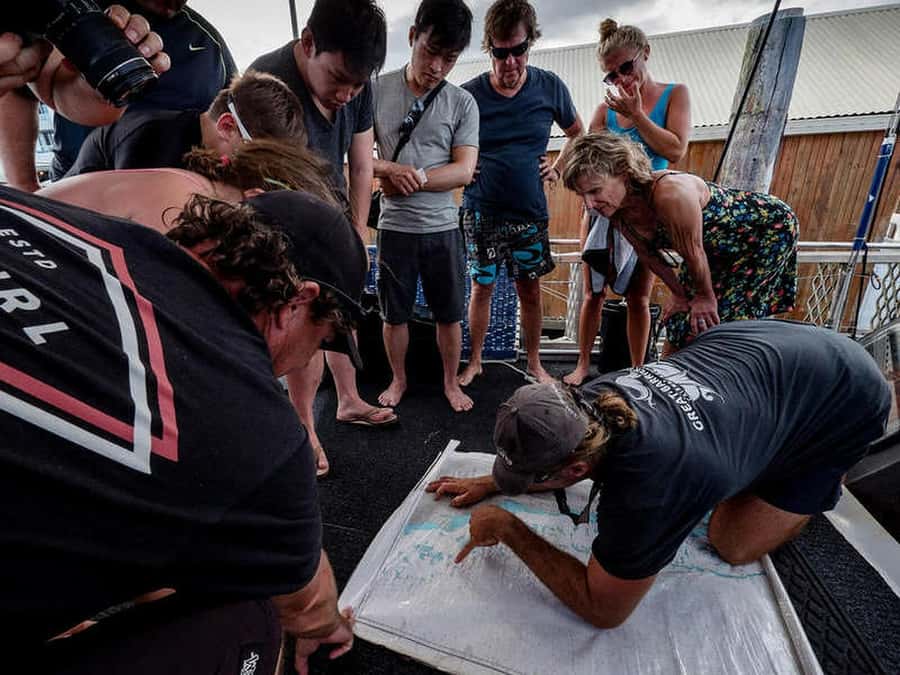 Cairns: 2-Day Great Barrier Reef Dive and Snorkel Boat Trip - Cairns departure at 7:45 AM: how the 2-day rhythm feels