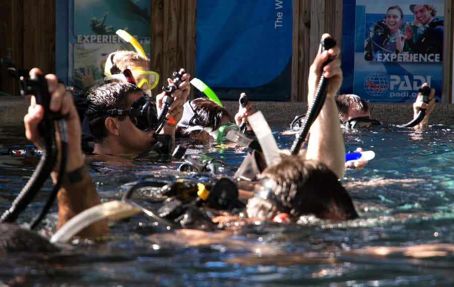 Cairns: 4-Day PADI Open Water Course - Instructors that help you move from nervous to capable