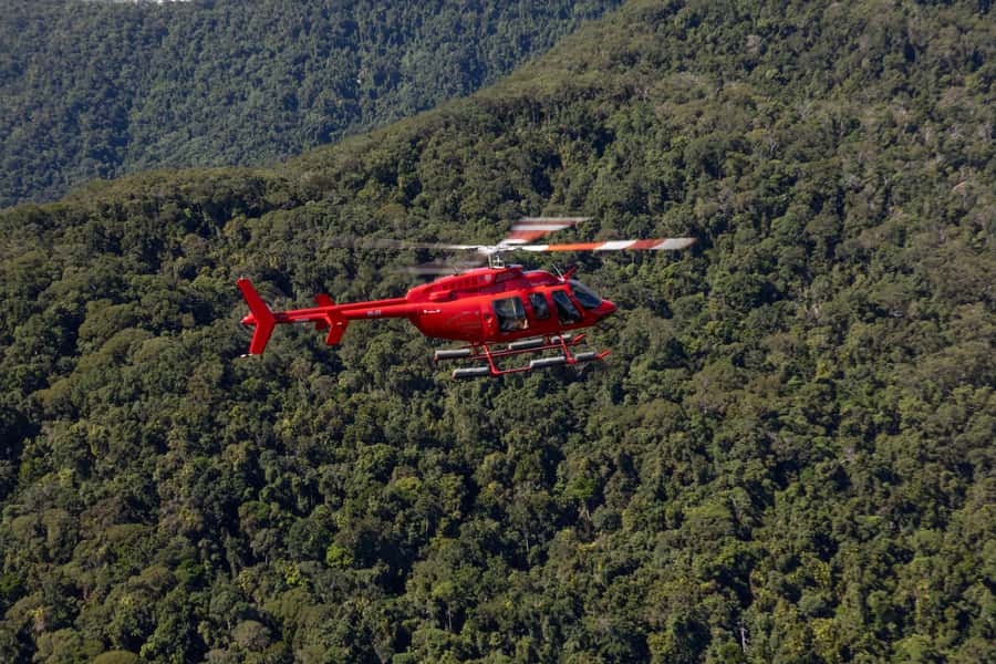 Cairns: 45 Min Great Barrier Reef & Rainforest Scenic Flight - Key Things That Make This Flight Worth Your Time