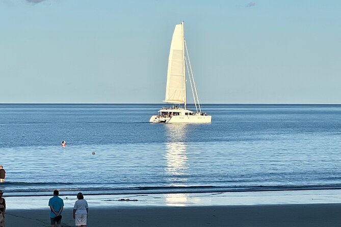 Cairns Airport to Port Douglas Shared Shuttle - What This Cairns-to-Port Douglas Shuttle Really Gives You