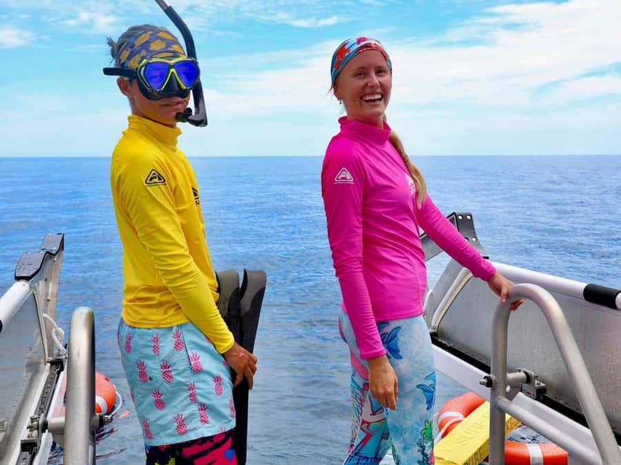 Cairns: All-Inclusive Great Barrier Reef Half-Day Snorkeling - Outer Reef in a fast speed boat, with moorings chosen for the day