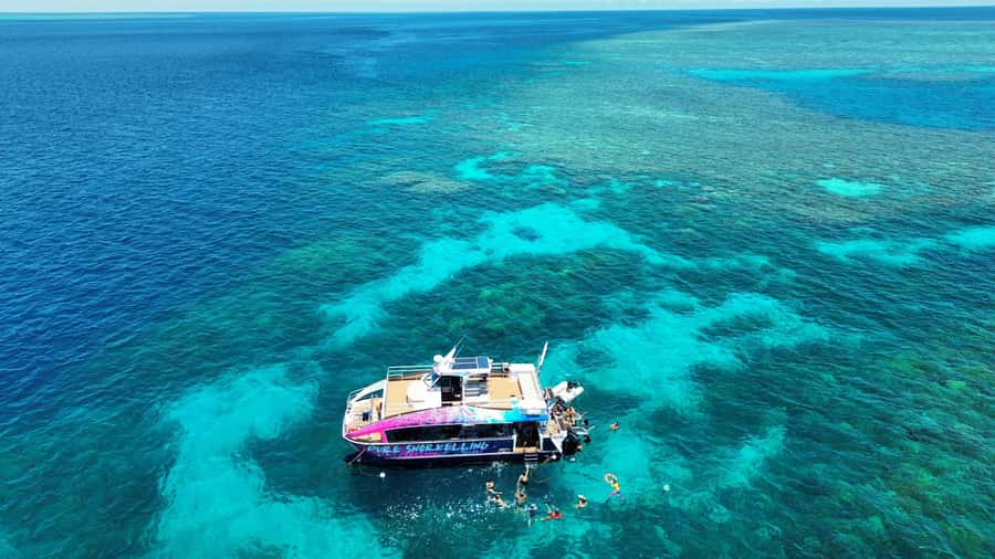 Cairns: All-Inclusive Great Barrier Reef Half-Day Snorkeling - Check-in, timing, and what the 5-hour schedule actually feels like