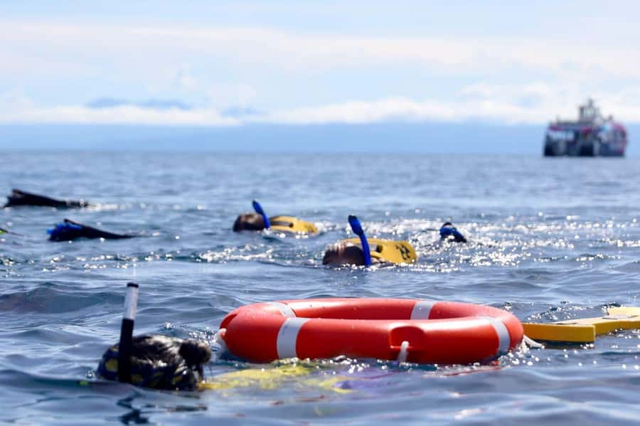 Cairns: All-Inclusive Great Barrier Reef Half-Day Snorkeling - Two hours of snorkeling: how you actually experience the reef