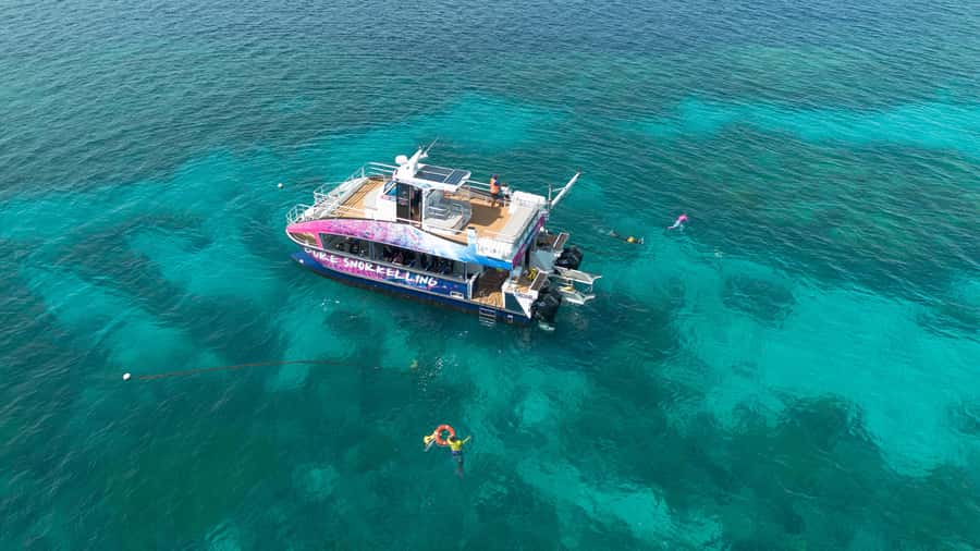 Cairns: All-Inclusive Great Barrier Reef Half-Day Snorkeling - The Marine Biologist Presentation at 10:30: the shortcut to seeing more