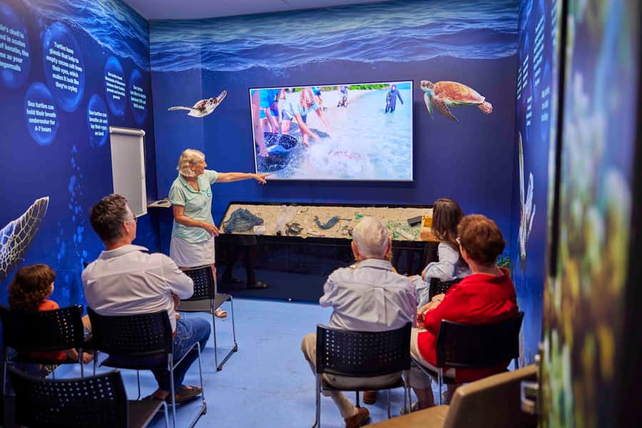 Cairns: Aquarium Entry Ticket and Turtle Rehabilitation Tour - The aquarium’s signature tanks: reef tank, Oceanarium, and freshwater