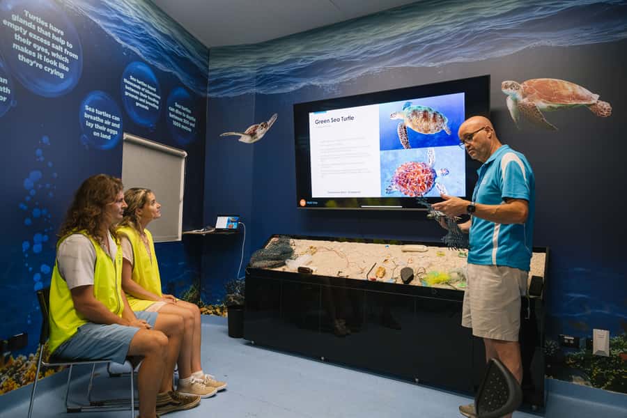 Cairns: Aquarium Entry Ticket and Turtle Rehabilitation Tour - Turtle Rehabilitation Center tour: what you learn and what you see