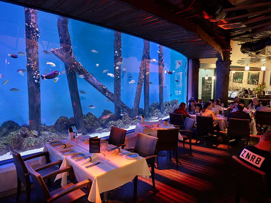 Cairns Aquarium General Admission Ticket - Key things I’d put on your must-see list