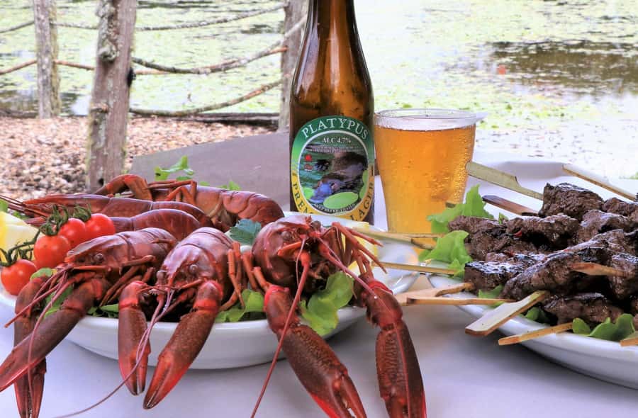 Cairns: Atherton Tablelands Full-Day Adventure - Australian Platypus Park at Tarzali Lakes: lunch plus a true flavor tour