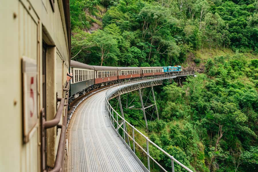 Cairns: Best of the Kuranda Rainforest Full-Day Tour & Lunch - Key moments to look for on this Kuranda day trip