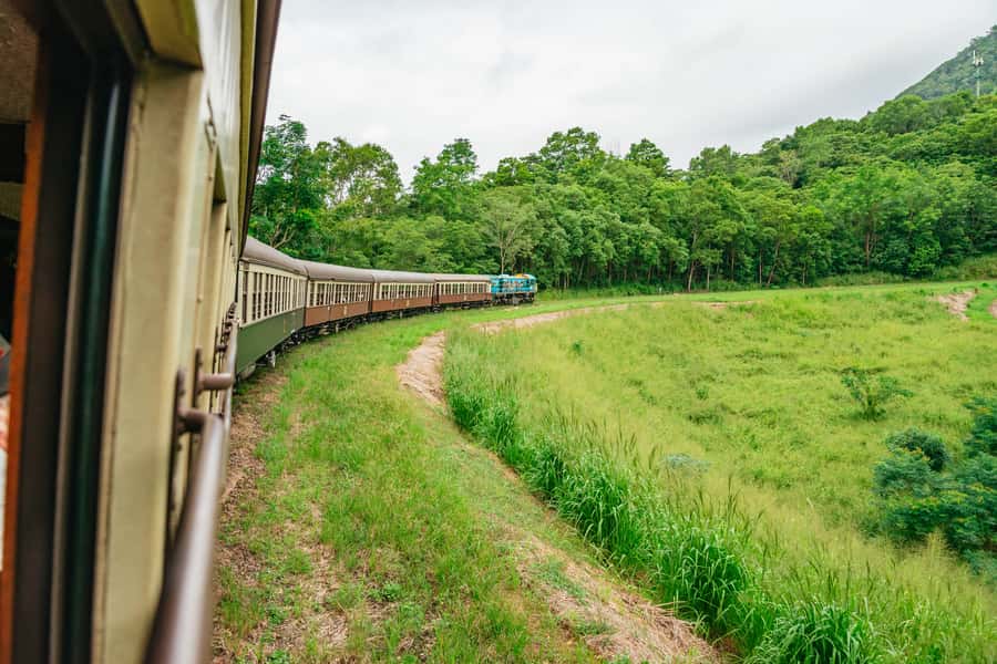 Cairns: Best of the Kuranda Rainforest Full-Day Tour & Lunch - Koala and Wildlife Park: cassowary, tree kangaroos, and animal encounters