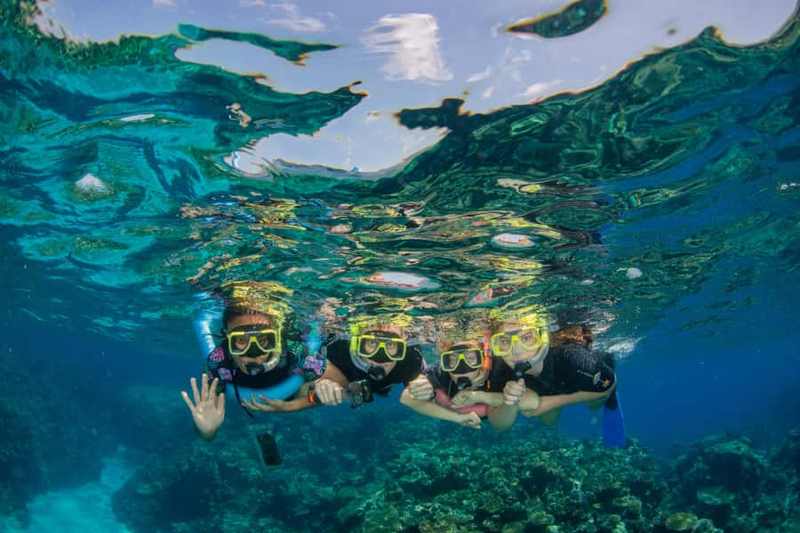 Cairns: Best Value All-inclusive Reef Trip With Scuba Dive - Key things I’d plan around