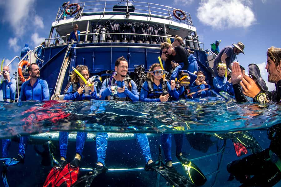 Cairns: Best Value All-inclusive Reef Trip With Scuba Dive - Cairns Marine Pickup and Reef Experience Catamaran Comfort