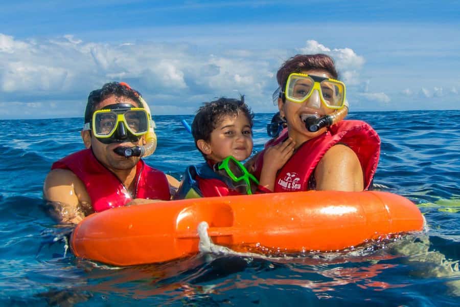 Cairns: Best Value All-inclusive Reef Trip With Scuba Dive - What $184 Buys You: The Value Math for a Full-Day Reef Day