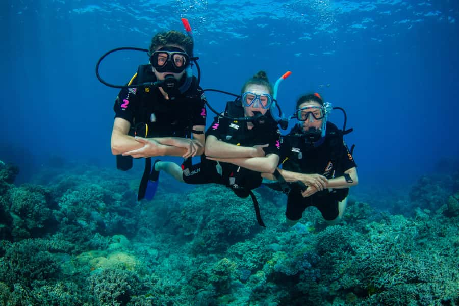 Cairns: Best Value All-inclusive Reef Trip With Scuba Dive - Equipment Rules and What to Bring for a Smooth Reef Day
